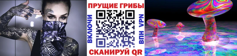Псилоцибиновые грибы прущие грибы купить Славск